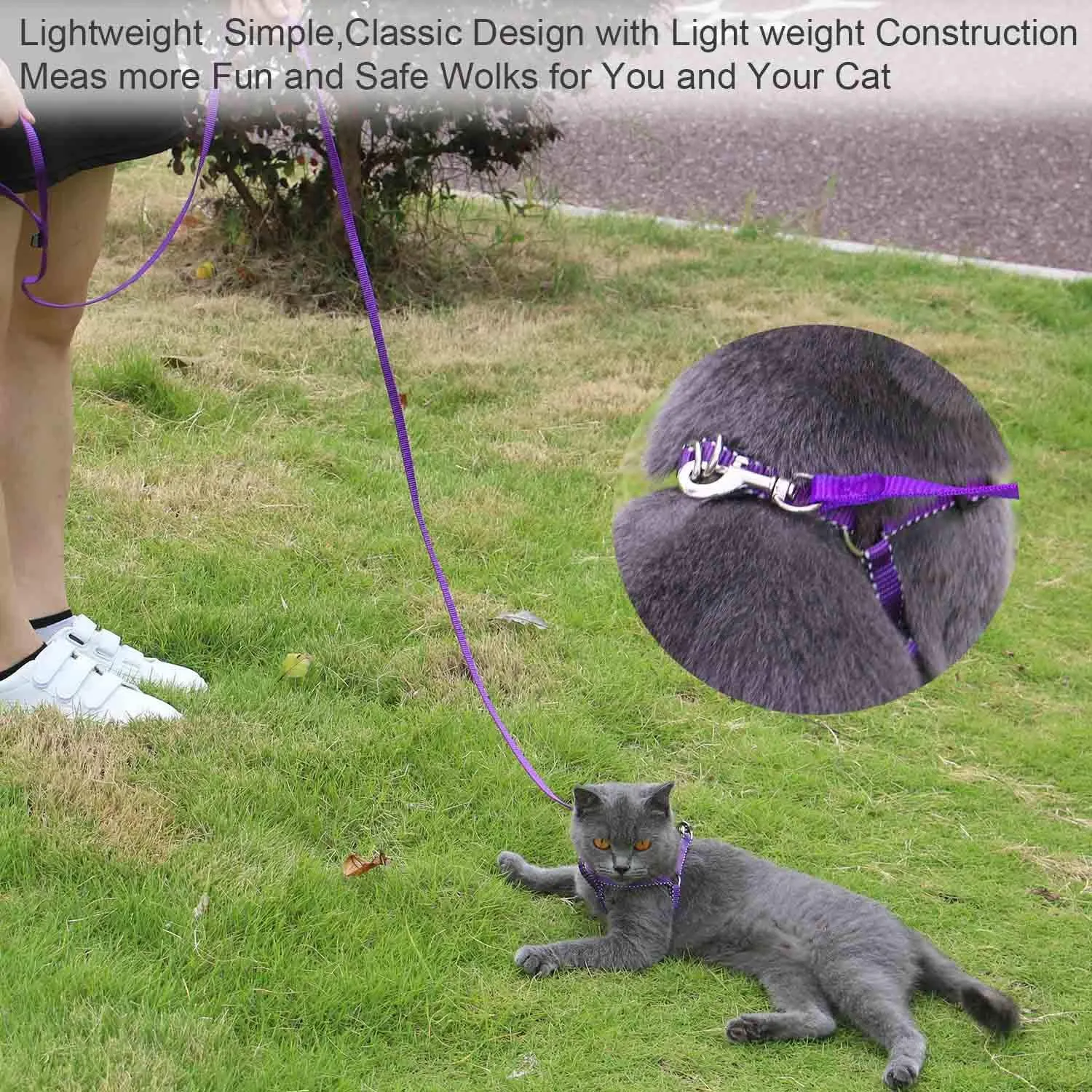 AMAGOOD 6 FT Cat Leashes, Strong Traditional Style Leash with Easy to Use Collar Hook,Cat Lead Great for Cats (3/8 in x 6 ft(Pack of 1), Purple)