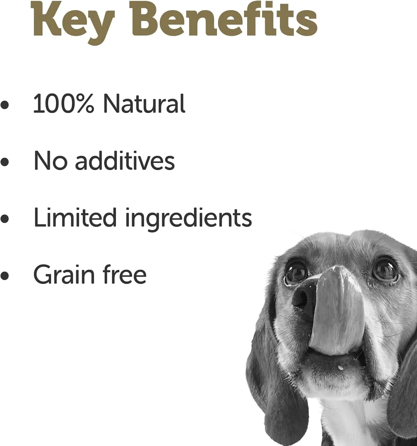 Applaws Taste Toppers, Grain-Free Dog Food Topper, Limited Ingredient, Chicken Stew with Carrots, Green Beans & Potato (12 x 5.5oz Cans)