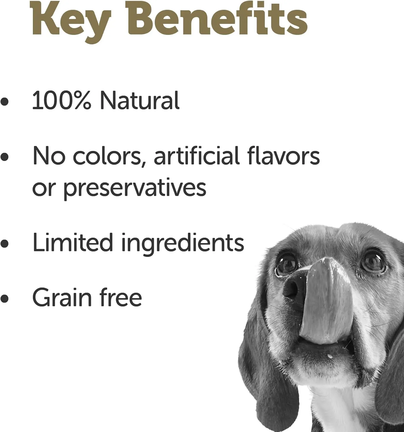 Applaws Taste Toppers, Grain-Free Dog Food Topper, Limited Ingredient, Variety Selection in Gravy (8 x 5.5oz Cans)
