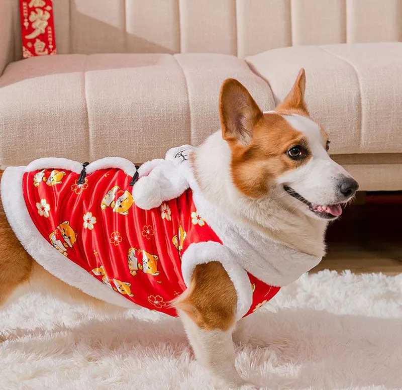 Autumn and winter corgi dog sweater wearing scarf suit Chinese New Year festive New Year pet clothes