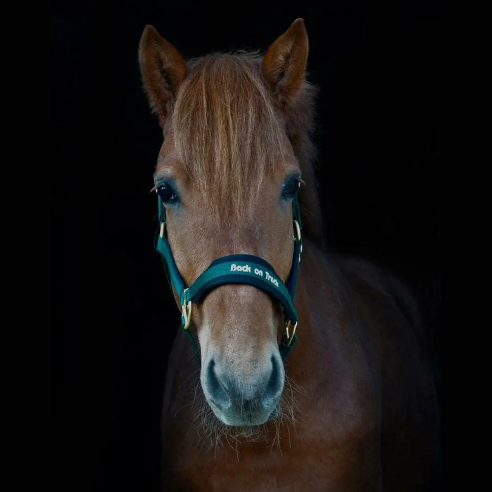 Back on Track Werano Halter Full Green