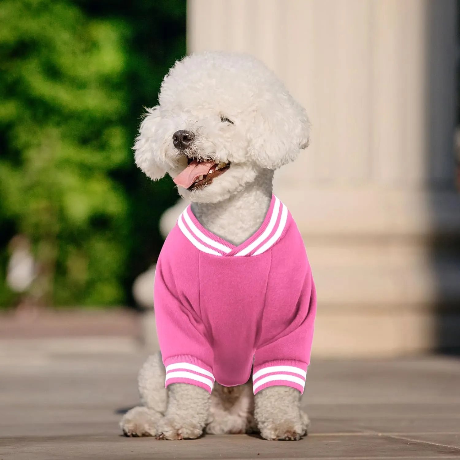 Baseball Jacket Soft Warm Dog Clothes Brushed Fleece for Small Dogs Puppy Sweater Boy Girl Pet(Pink-XS)