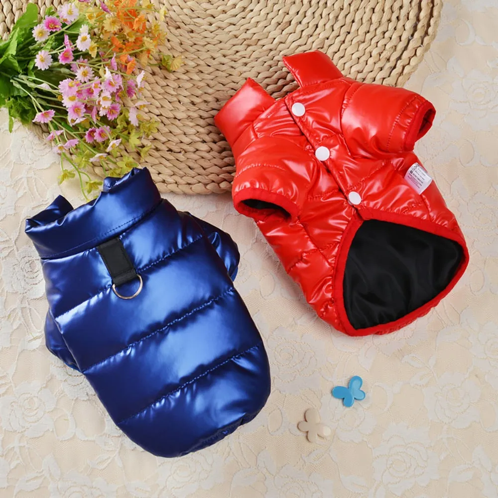 Bright PU Leather Dog Clothes