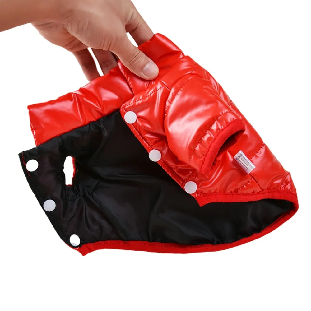 Bright PU Leather Dog Clothes