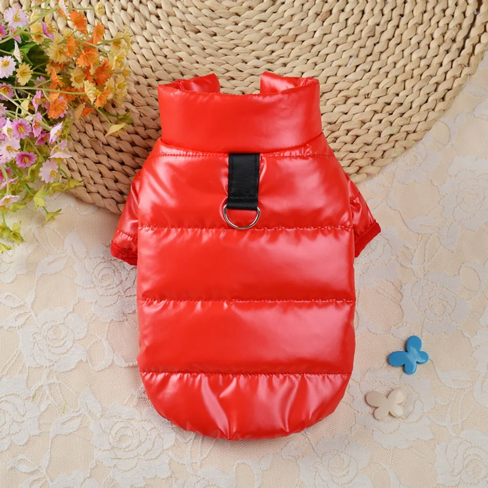 Bright PU Leather Dog Clothes
