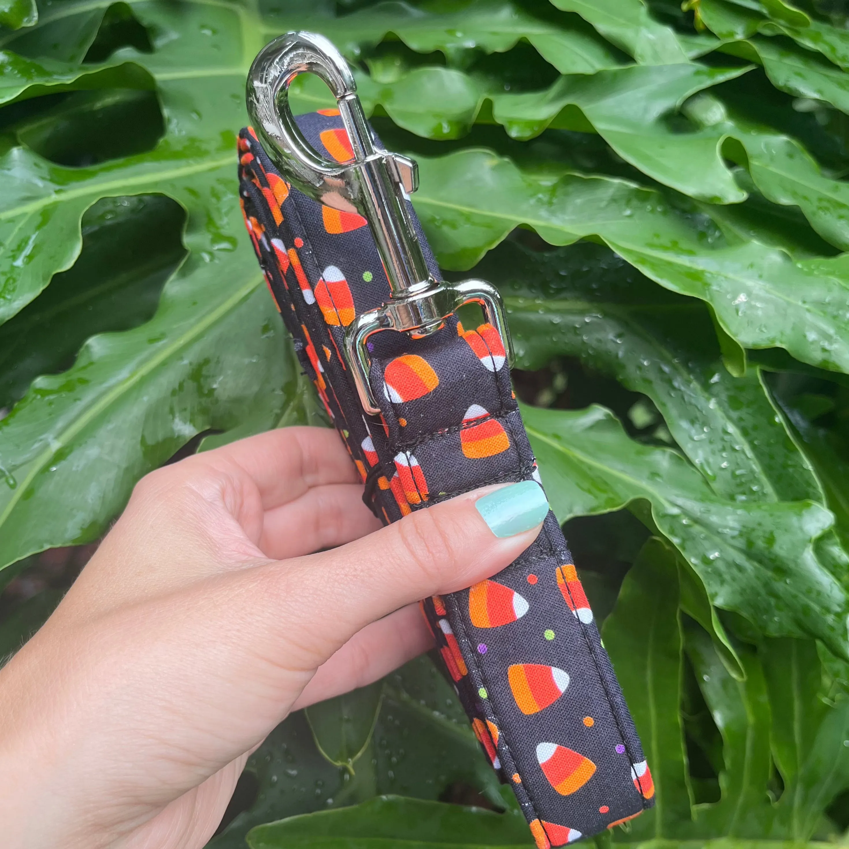 Candy Corn Dog Leash