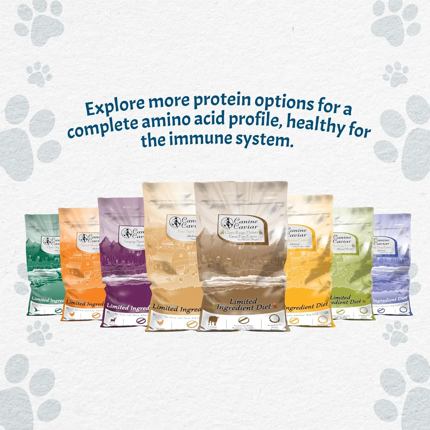 Canine Caviar - Open Sky: Duck & Teff Alkaline Dry Dog Food, Limited Ingredients, Gluten-Free, Based on Science & Research, Veterinary Alternative Diet (22 Pound Bag)