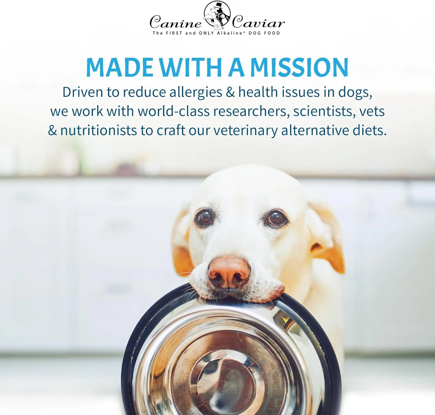 Canine Caviar - Open Sky: Duck & Teff Alkaline Dry Dog Food, Limited Ingredients, Gluten-Free, Based on Science & Research, Veterinary Alternative Diet (22 Pound Bag)
