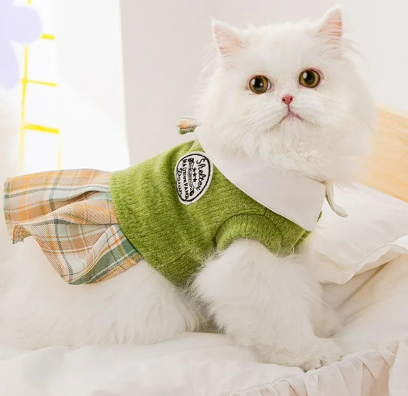 Cat autumn and winter clothes
