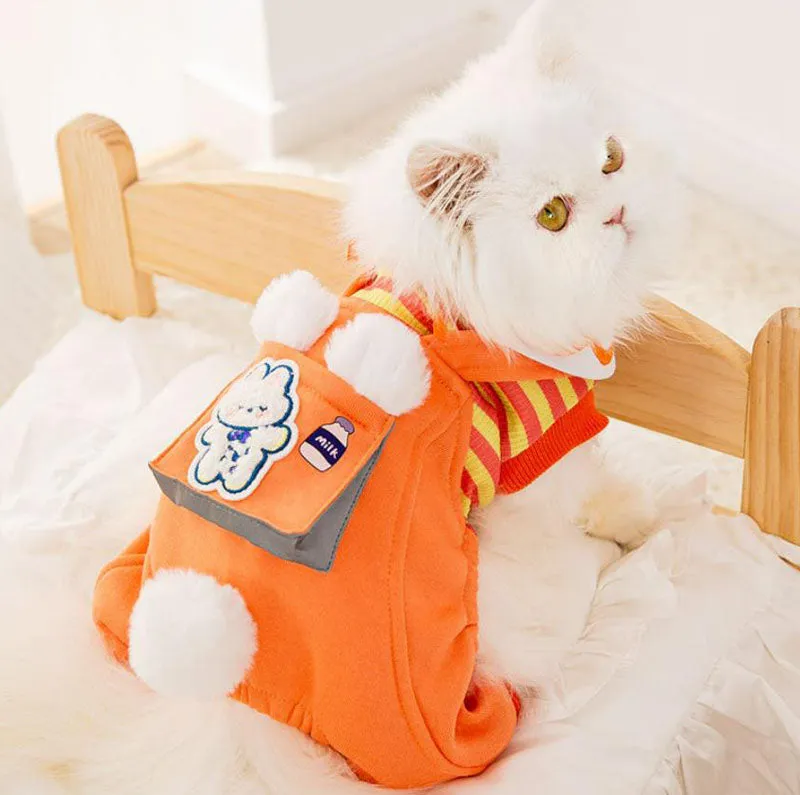 Cat autumn and winter clothes