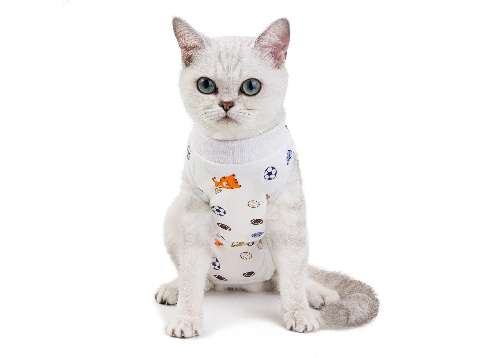 Cat Clothes Type 17