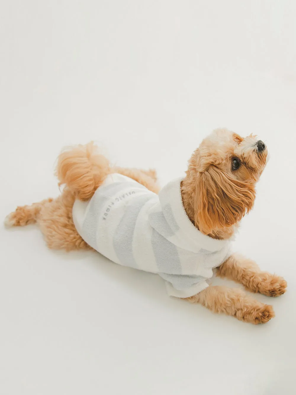 CAT&DOG Smoothie 2 Border Dog Hoodie