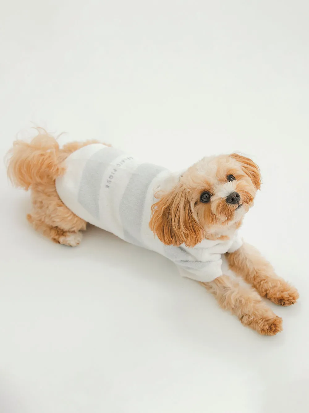 CAT&DOG Smoothie 2 Border Dog Hoodie