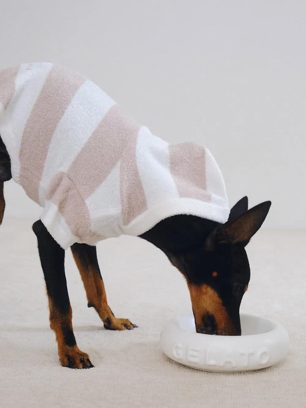 CAT&DOG Smoothie 2 Border Dog Hoodie