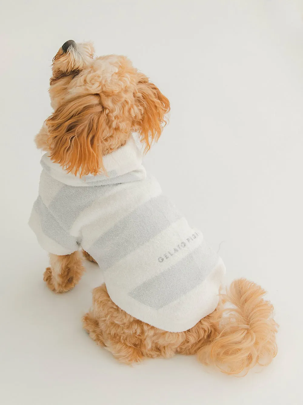 CAT&DOG Smoothie 2 Border Dog Hoodie