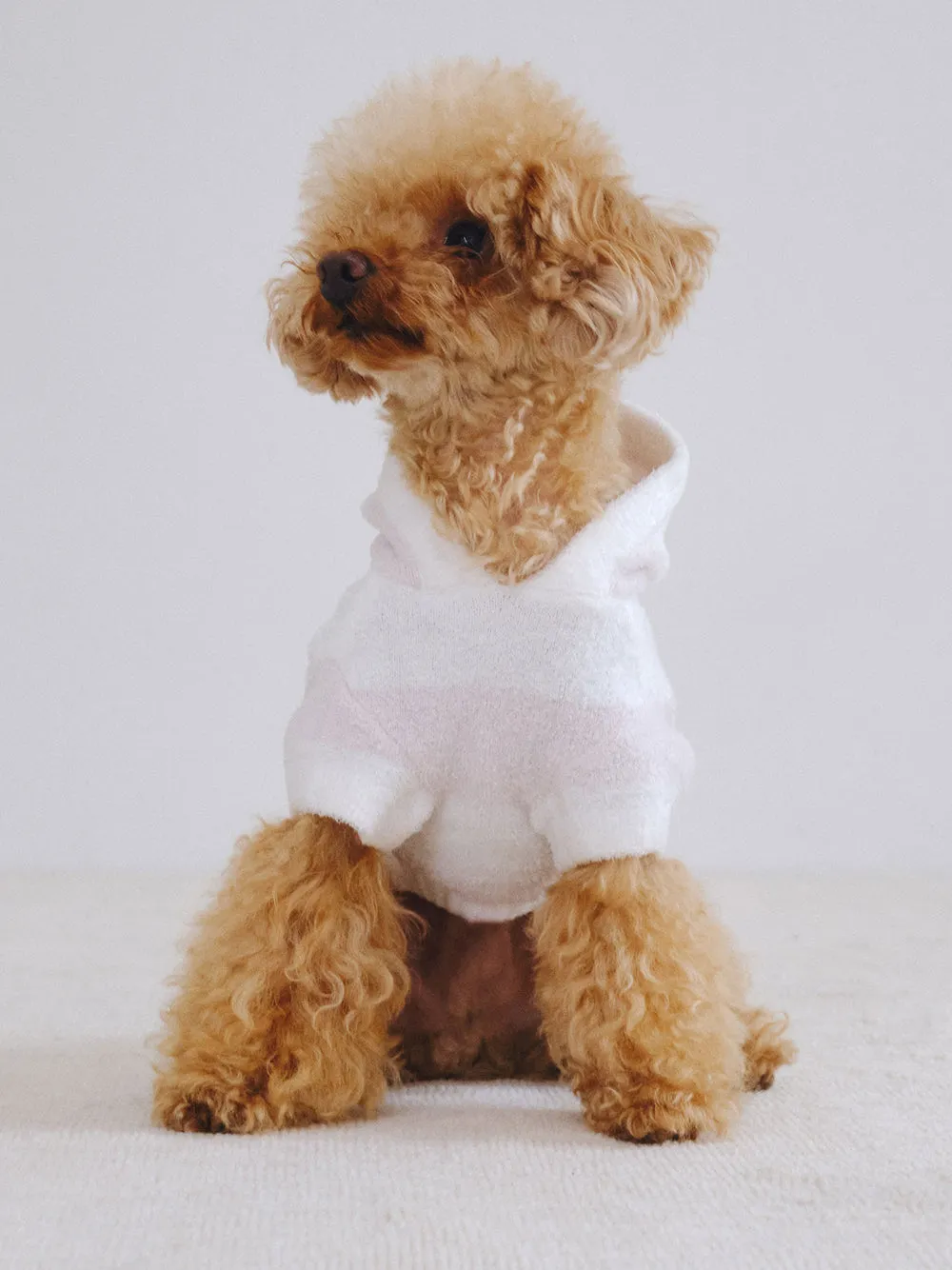 CAT&DOG Smoothie 2 Border Dog Hoodie