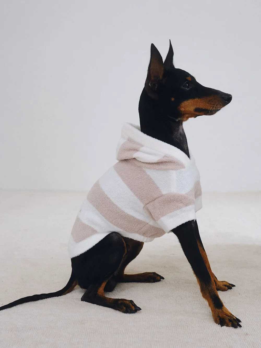 CAT&DOG Smoothie 2 Border Dog Hoodie