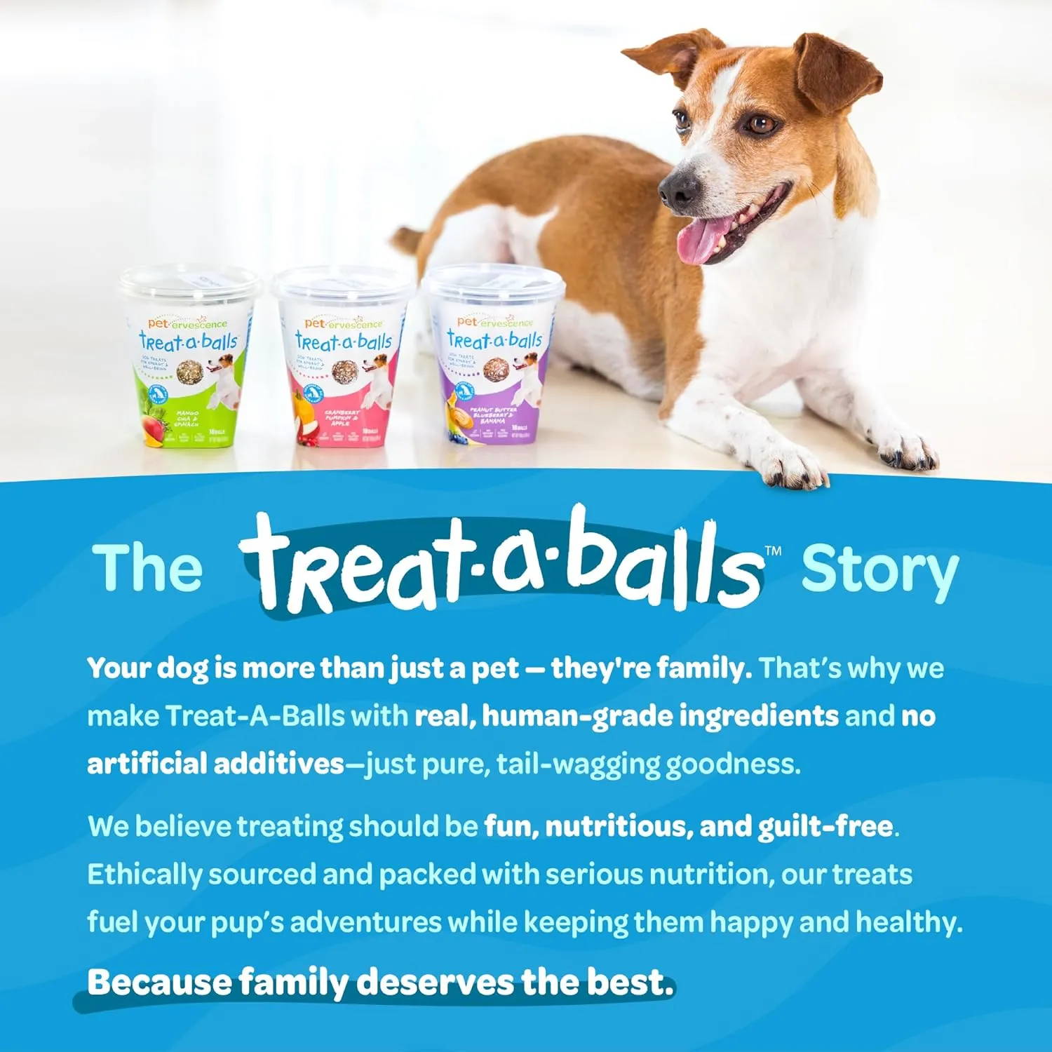 Chewy & Soft Dog Treats, All Natural, Non-GMO, Vegan, Gluten Free, Low Calorie Dog Treats for All Breeds & Sizes - Made in New Zealand, Peanut Butter, Blueberry, Banana 18pk