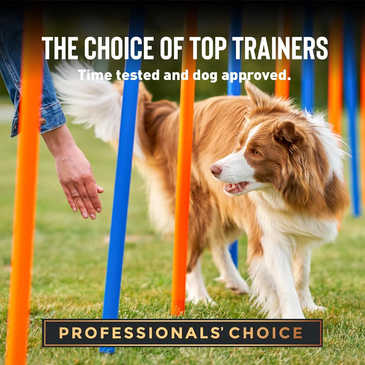 Cloud Star Tricky Trainers Soft & Chewy Dog Training Treats 5 oz. Pouch, Peanut Butter Flavor, Grain-Free Low Calorie Behavior Aid with 130 treats