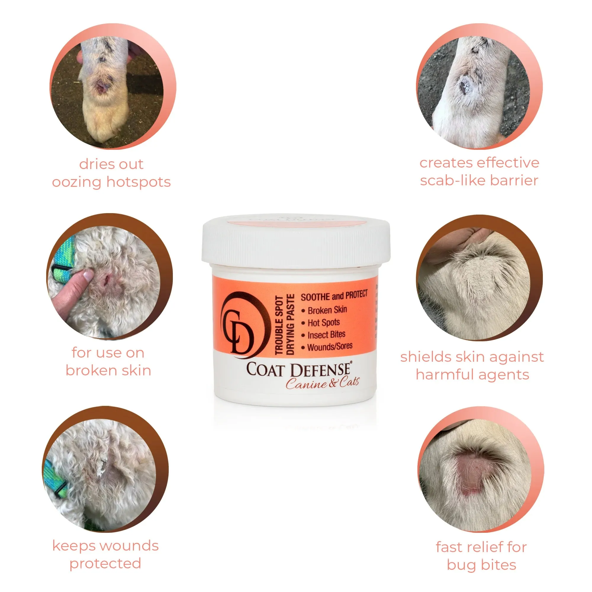 Coat Defense Trouble Spot Pet Paste