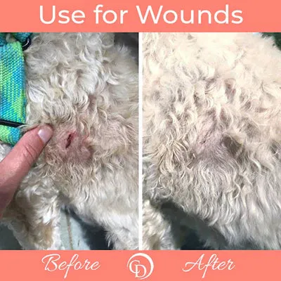 Coat Defense Trouble Spot Pet Paste