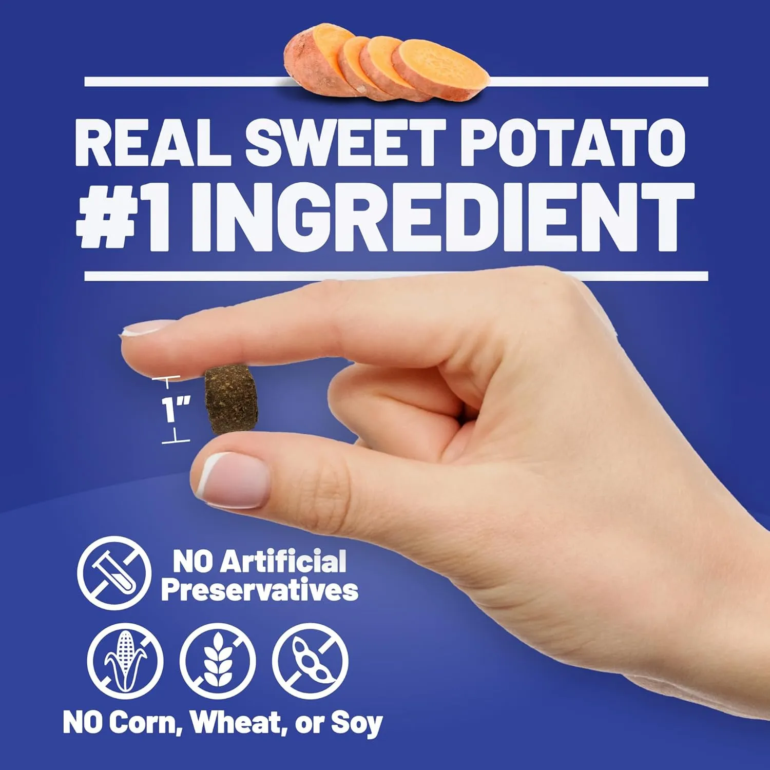 Dave's Pet Food Sweet Potato & Pumpkin Dog Treats for Sensitive Stomachs, Semi-Moist Soft & Digestive Friendly, Made in USA, Senior, Small & Large Dogs, Gut Health (2 Pack)