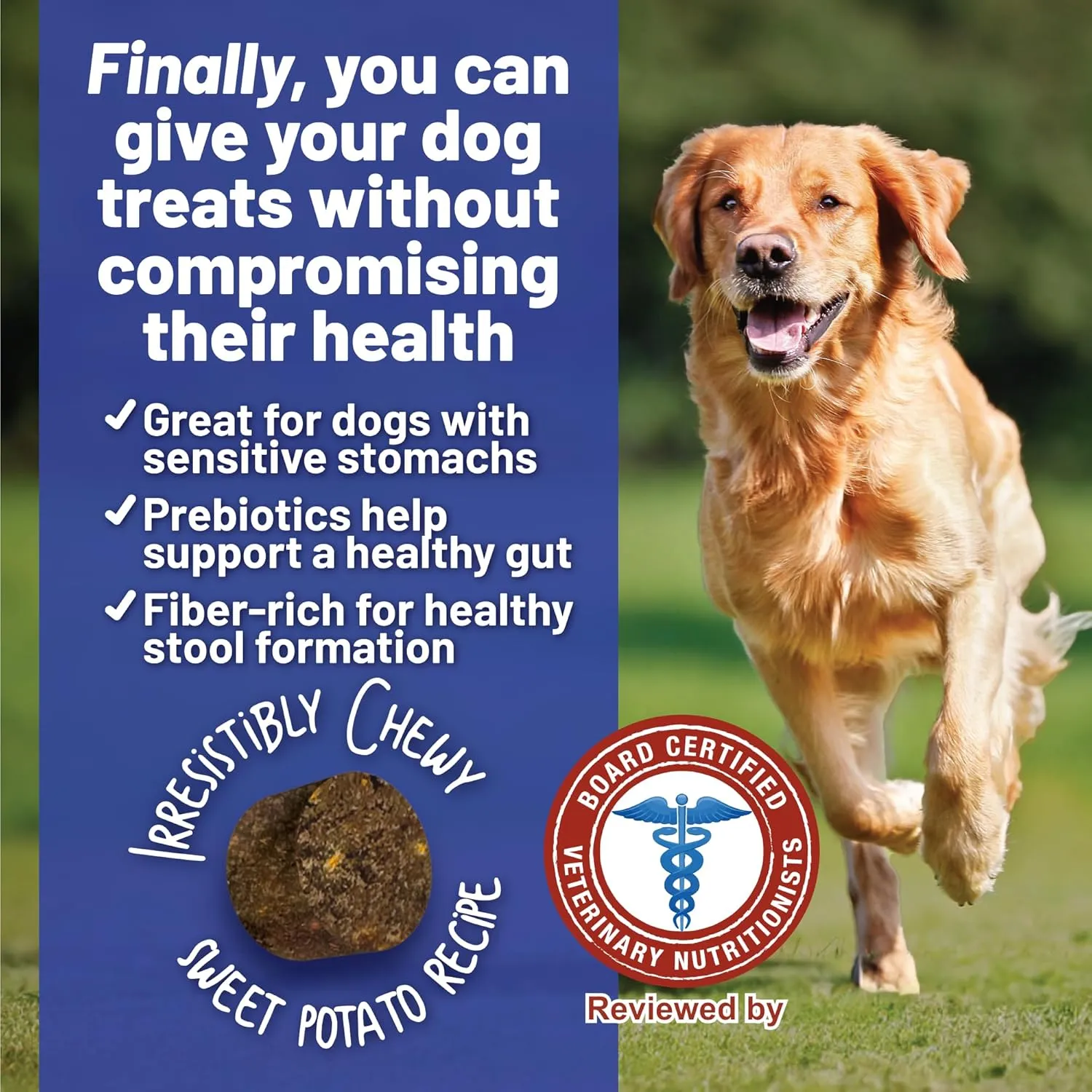 Dave's Pet Food Sweet Potato & Pumpkin Dog Treats for Sensitive Stomachs, Semi-Moist Soft & Digestive Friendly, Made in USA, Senior, Small & Large Dogs, Gut Health (2 Pack)