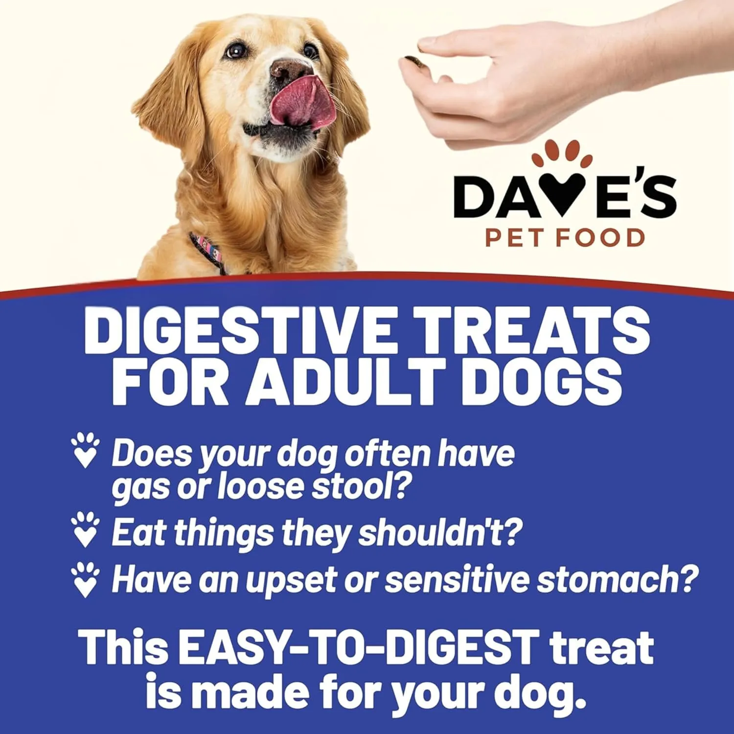 Dave's Pet Food Sweet Potato & Pumpkin Dog Treats for Sensitive Stomachs, Semi-Moist Soft & Digestive Friendly, Made in USA, Senior, Small & Large Dogs, Gut Health (2 Pack)