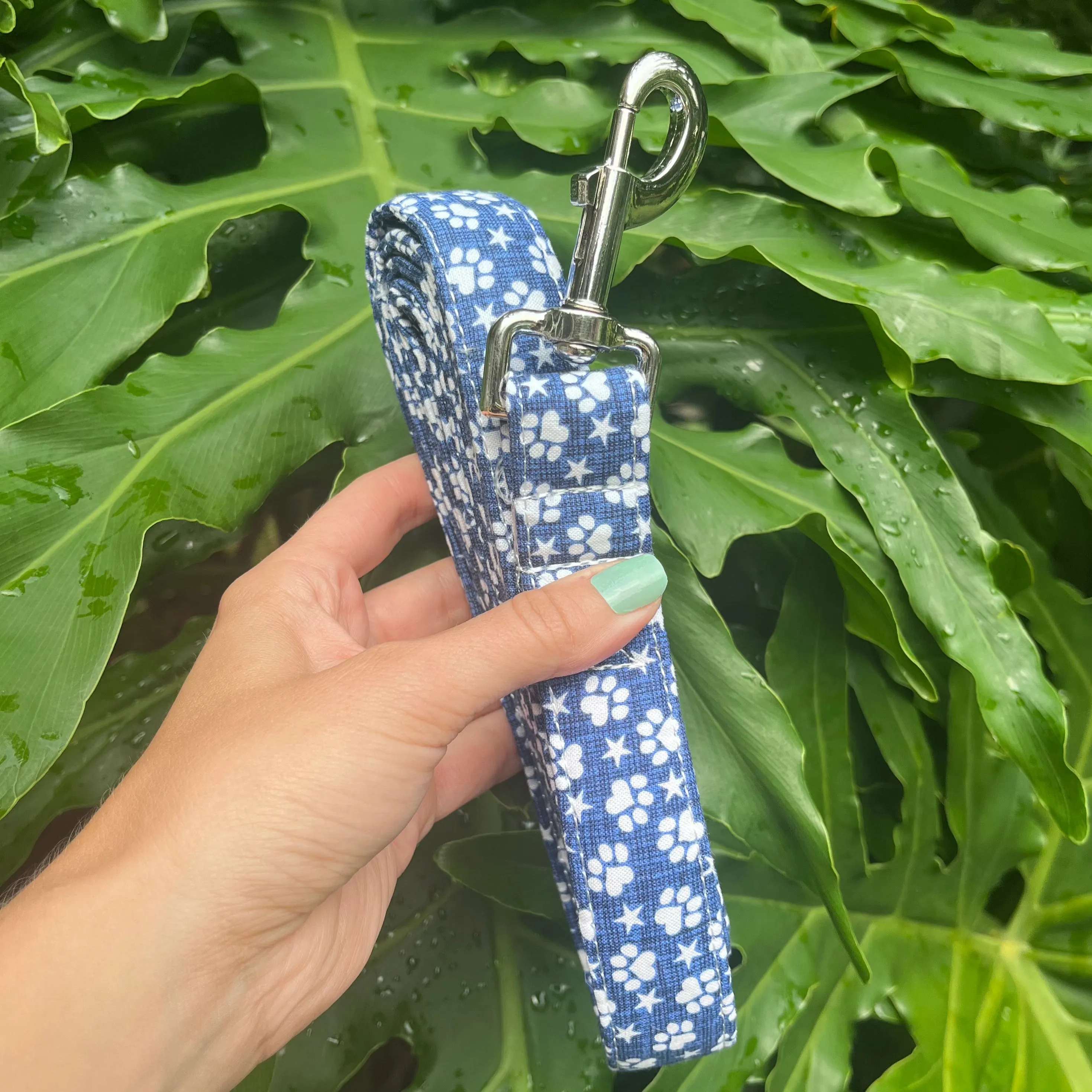 Denim Paws Dog Leash