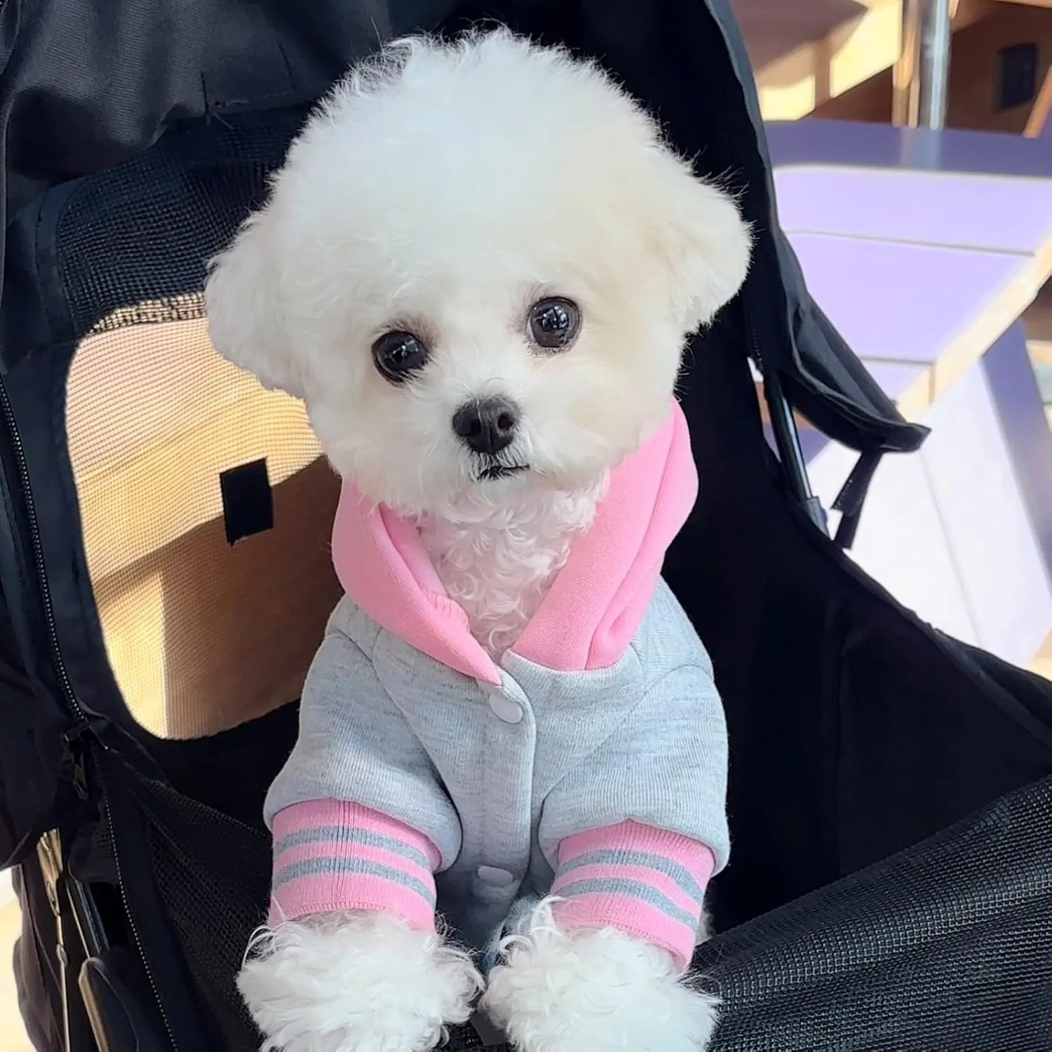 Dog Hoodie with Snap Closure | Sporty Letter-Print Pullover for Small/Medium Dogs, Plush Fleece Cat & Puppy Sweaters for Indoor Photos (Grey Pink, 3XL)