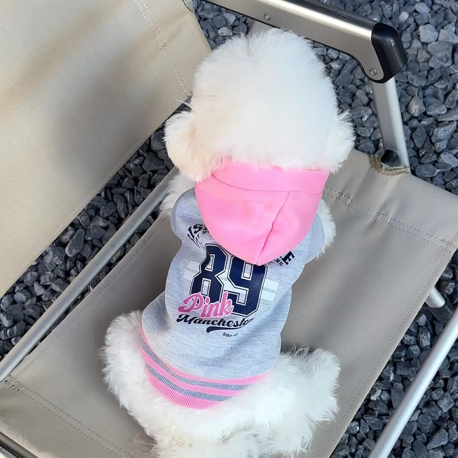 Dog Hoodie with Snap Closure | Sporty Letter-Print Pullover for Small/Medium Dogs, Plush Fleece Cat & Puppy Sweaters for Indoor Photos (Grey Pink, M)