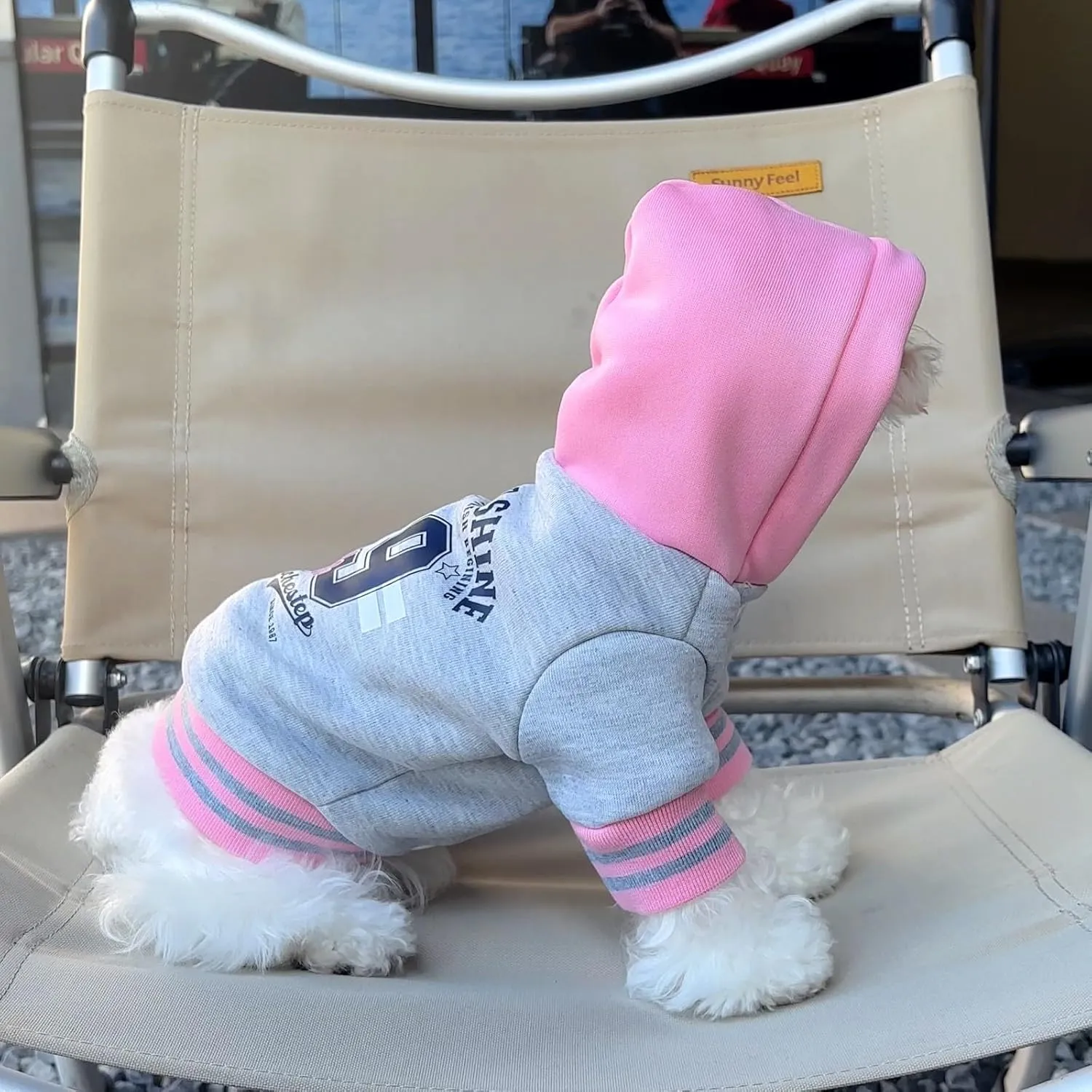 Dog Hoodie with Snap Closure | Sporty Letter-Print Pullover for Small/Medium Dogs, Plush Fleece Cat & Puppy Sweaters for Indoor Photos (Grey Pink, M)