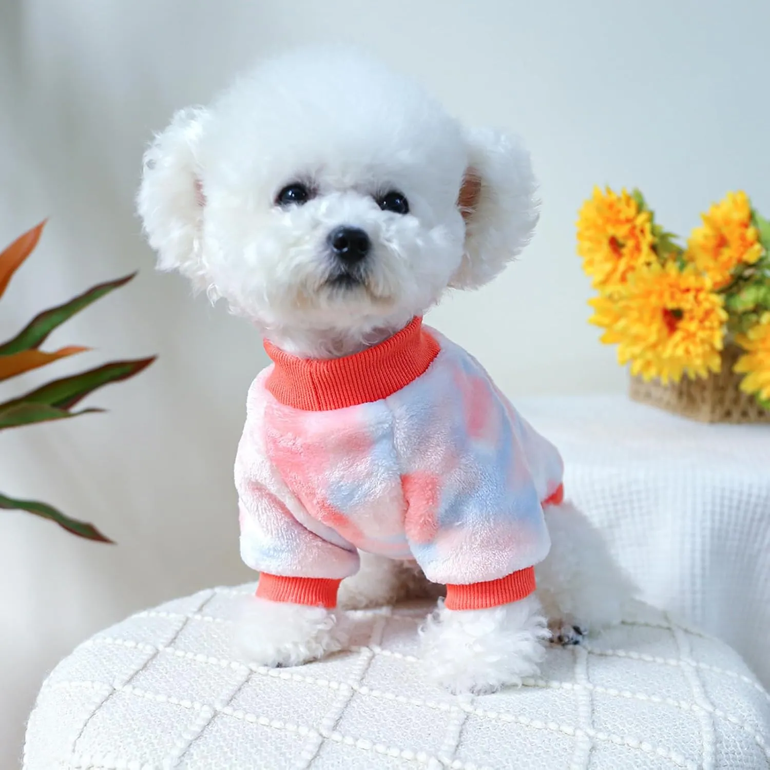 Dog Sweater, Dog Sweaters for Small Dogs, Dog Clothes for Small Dogs Girl Boy, Ultra Soft and Warm Puppy Cat Pet Sweater Dog Coat for Winter Pink M