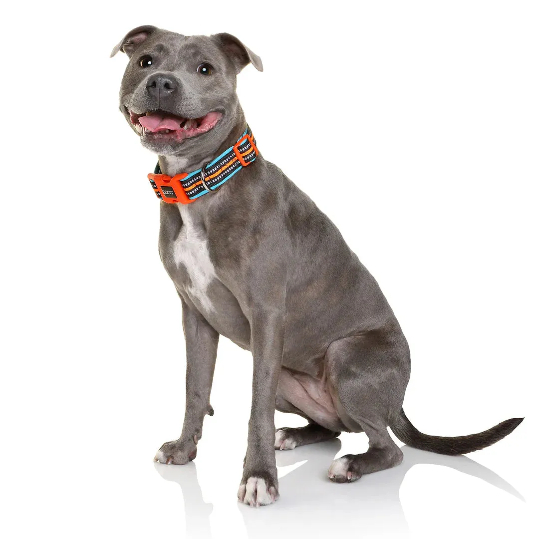 DOOG Neoprene Beethoven Neon Blue and Orange Dog Collar Large^^^
