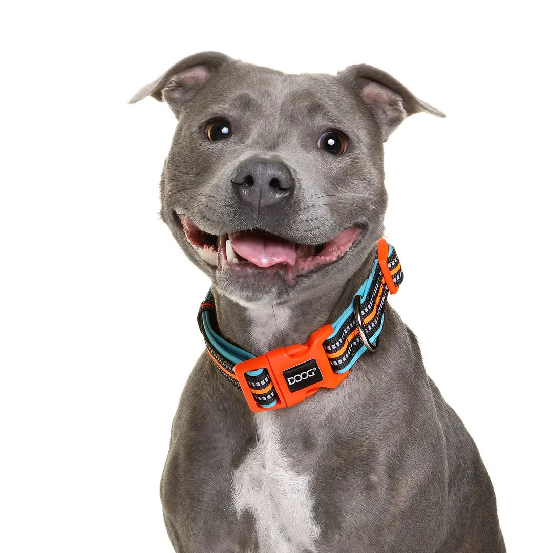 DOOG Neoprene Beethoven Neon Blue and Orange Dog Collar Small^^^