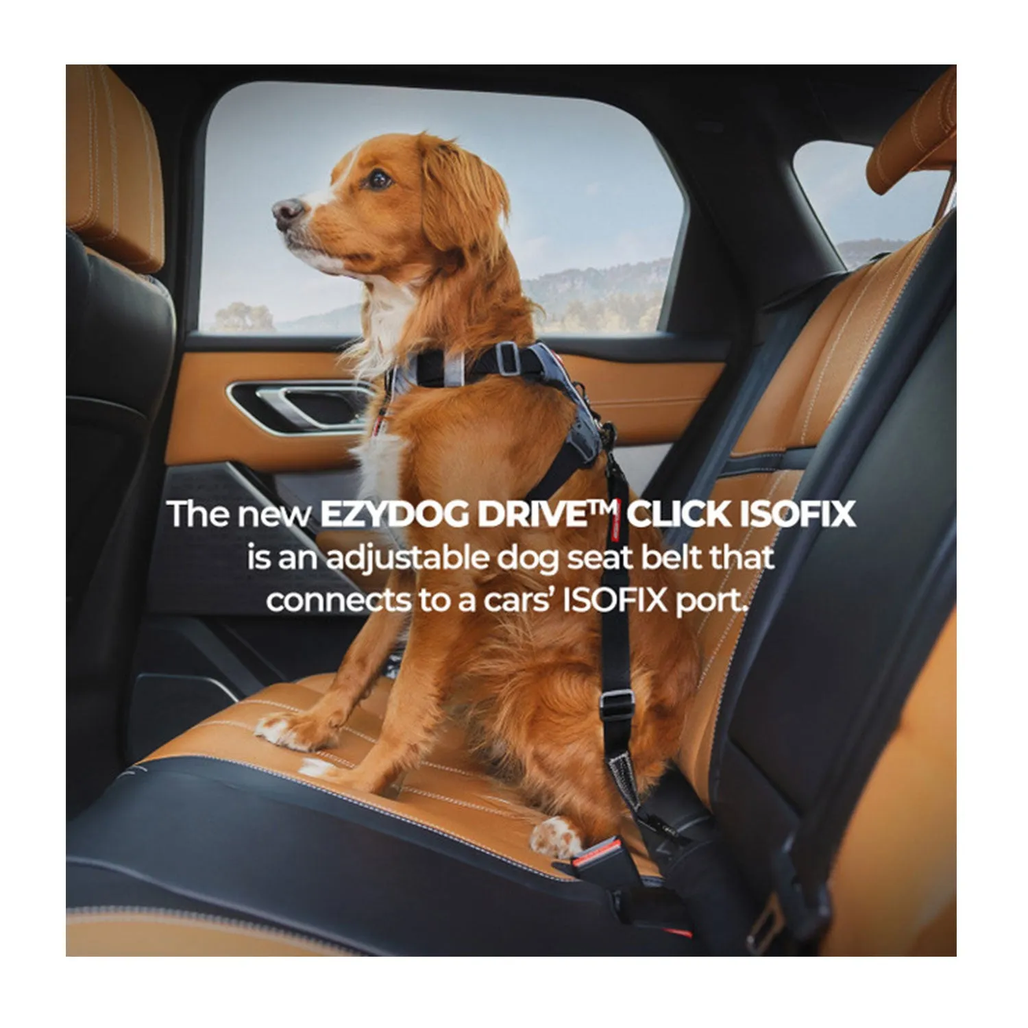 EzyDog Car Restraint ISOFIX