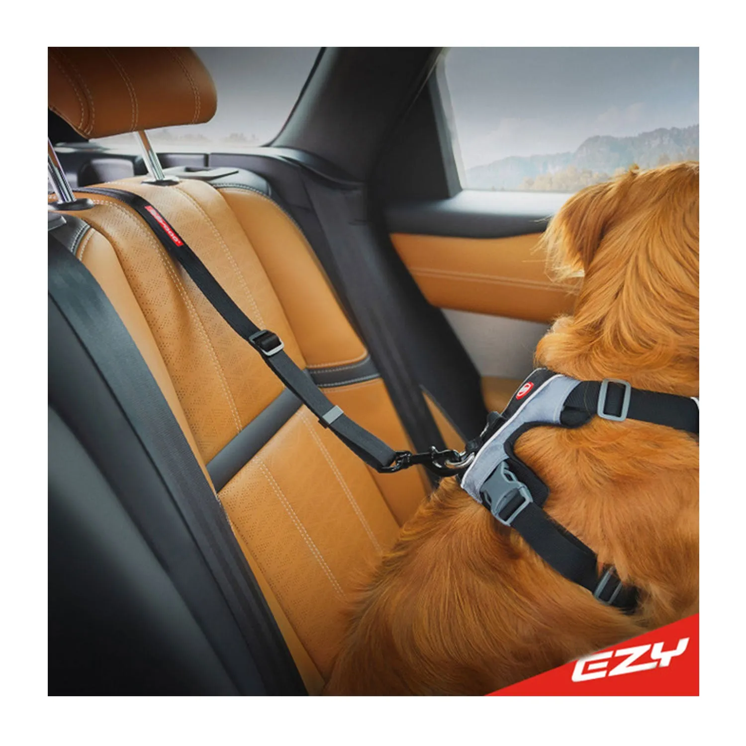 EzyDog Car Restraint ISOFIX