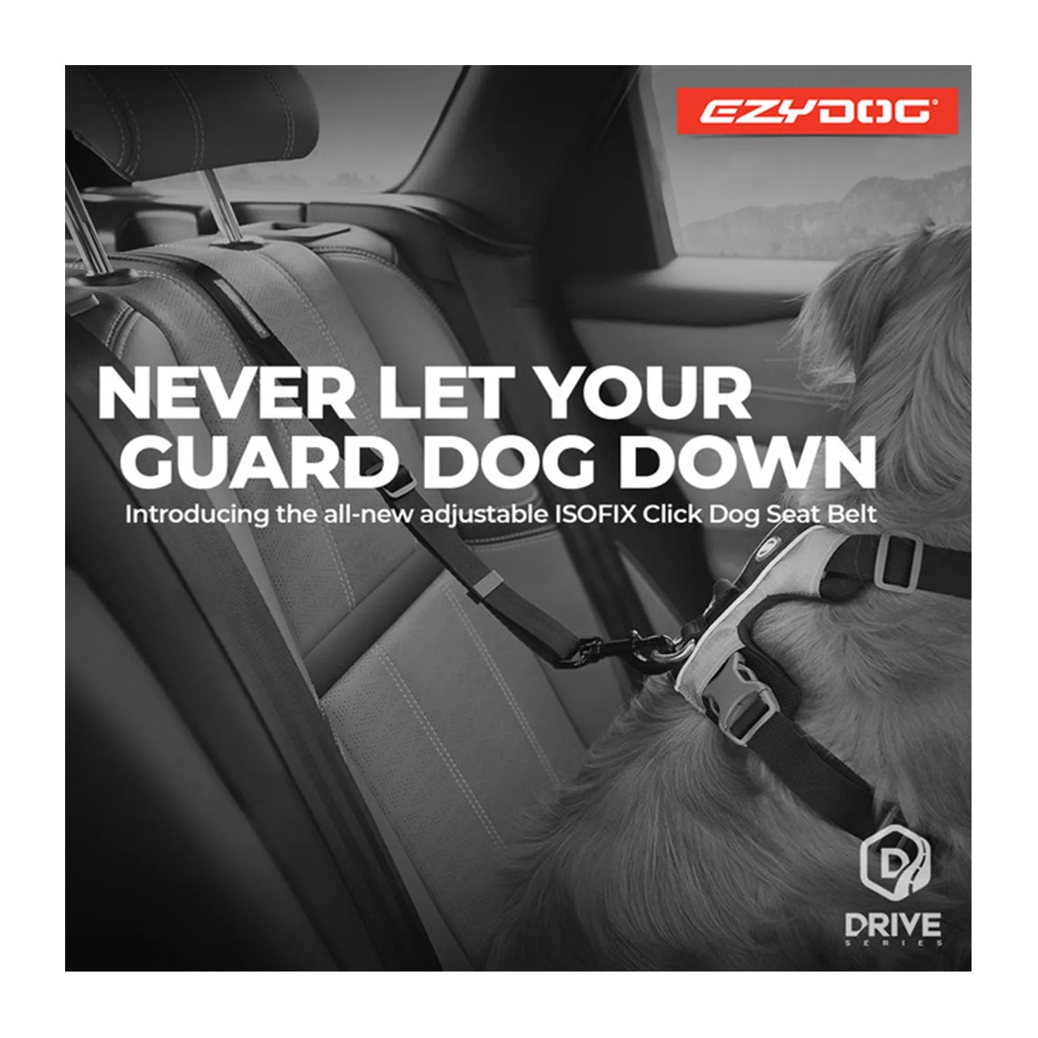 EzyDog Car Restraint ISOFIX