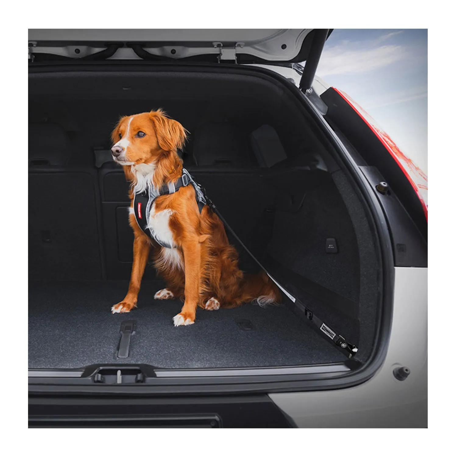 EzyDog Car Restraint ISOFIX