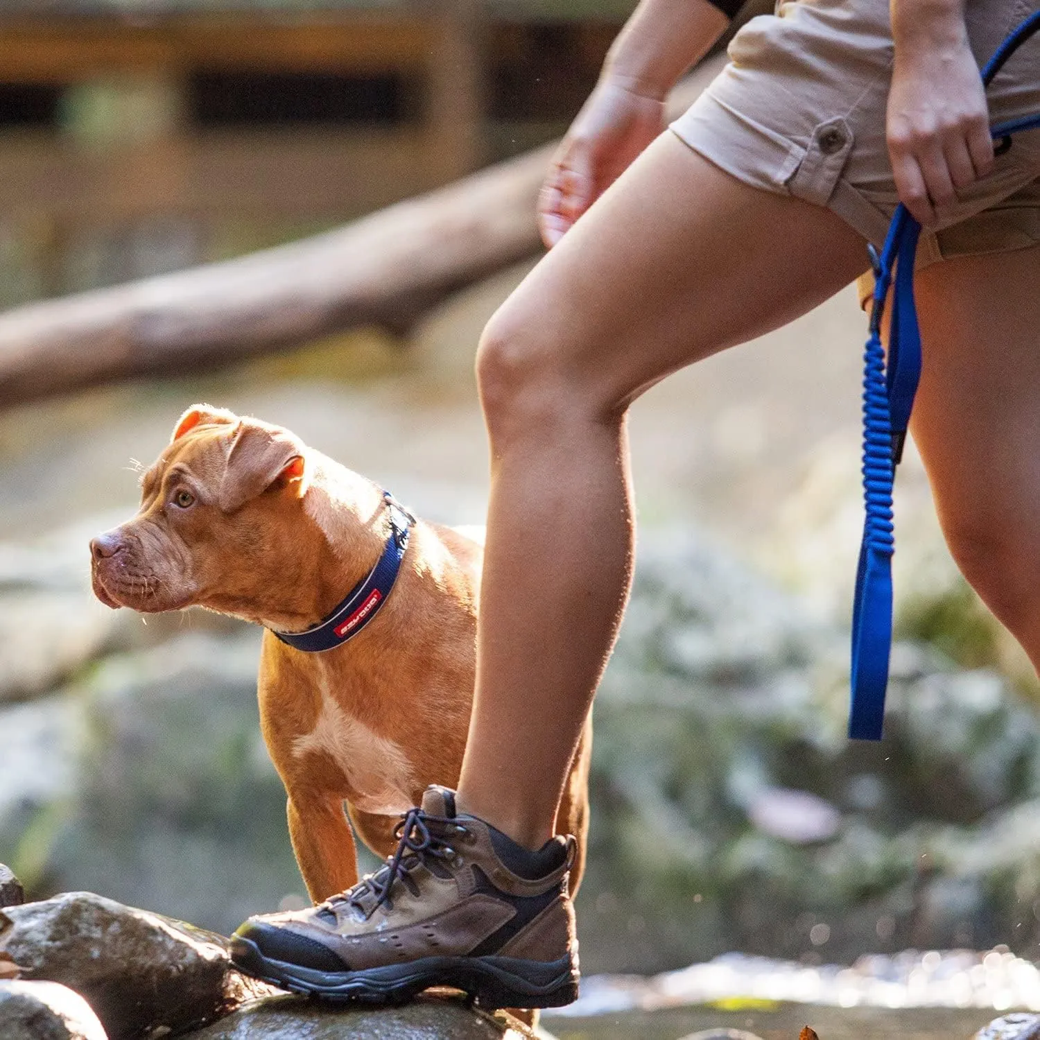 EzyDog Zero Shock Dog Leash - Shock Absorbing Bungee Leash For Dogs That Pull or Excite - Dual Handle and Reflective For Large, Medium, or Small Dogs (48-inch, Blue)