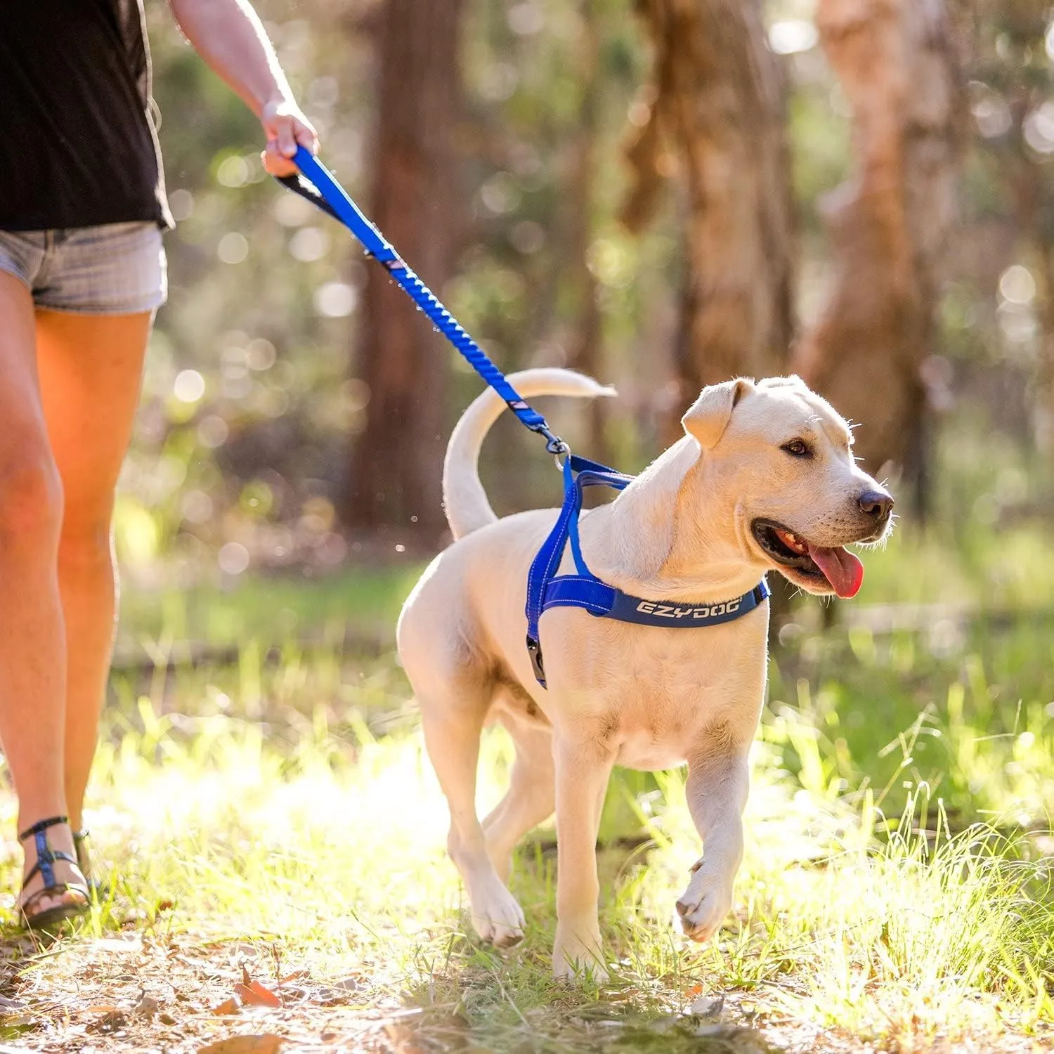 EzyDog Zero Shock Dog Leash - Shock Absorbing Bungee Leash For Dogs That Pull or Excite - Dual Handle and Reflective For Large, Medium, or Small Dogs (48-inch, Blue)