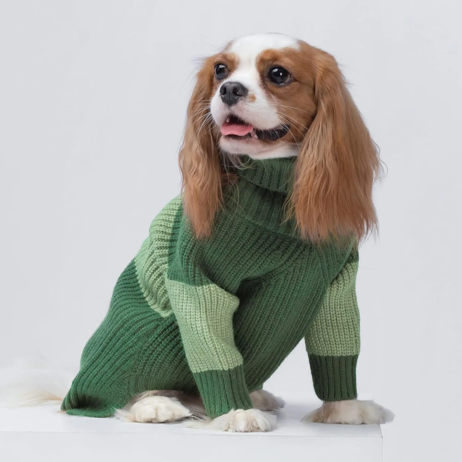 Fitwarm Color Block Turtleneck Dog Sweater, Thermal Dog Winter Clothes for Small Dogs Boy Girl, Pet Outfit, Dark Green, Mint Green, Large