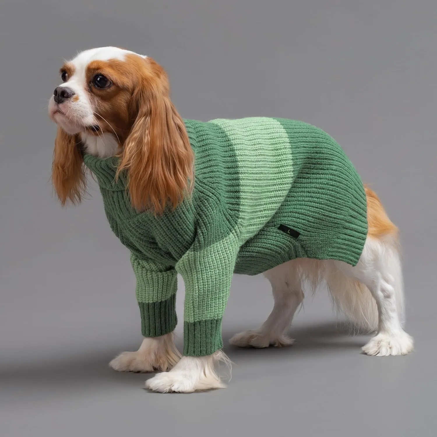 Fitwarm Color Block Turtleneck Dog Sweater, Thermal Dog Winter Clothes for Small Dogs Boy Girl, Pet Outfit, Dark Green, Mint Green, Large