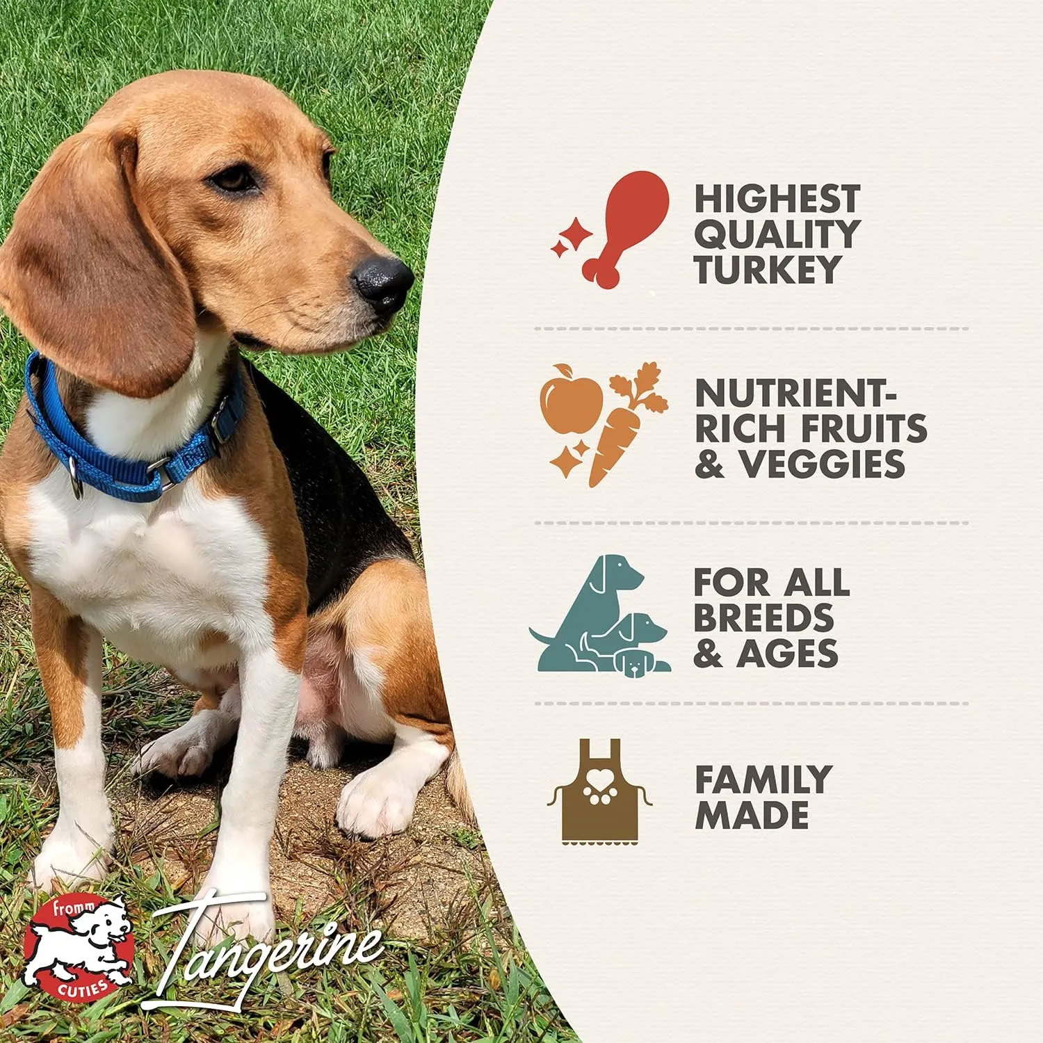 Fromm Four-Star Nutritionals Game Bird Dog Food - Premium Dry Dog Food - Turkey Recipe - 12 lb