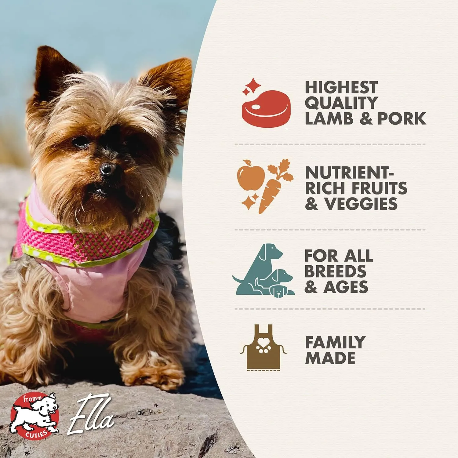Fromm Four-Star Nutritionals Lamb & Lentil Dog Food - Premium Dry Dog Food - Lamb Recipe - 4 lb