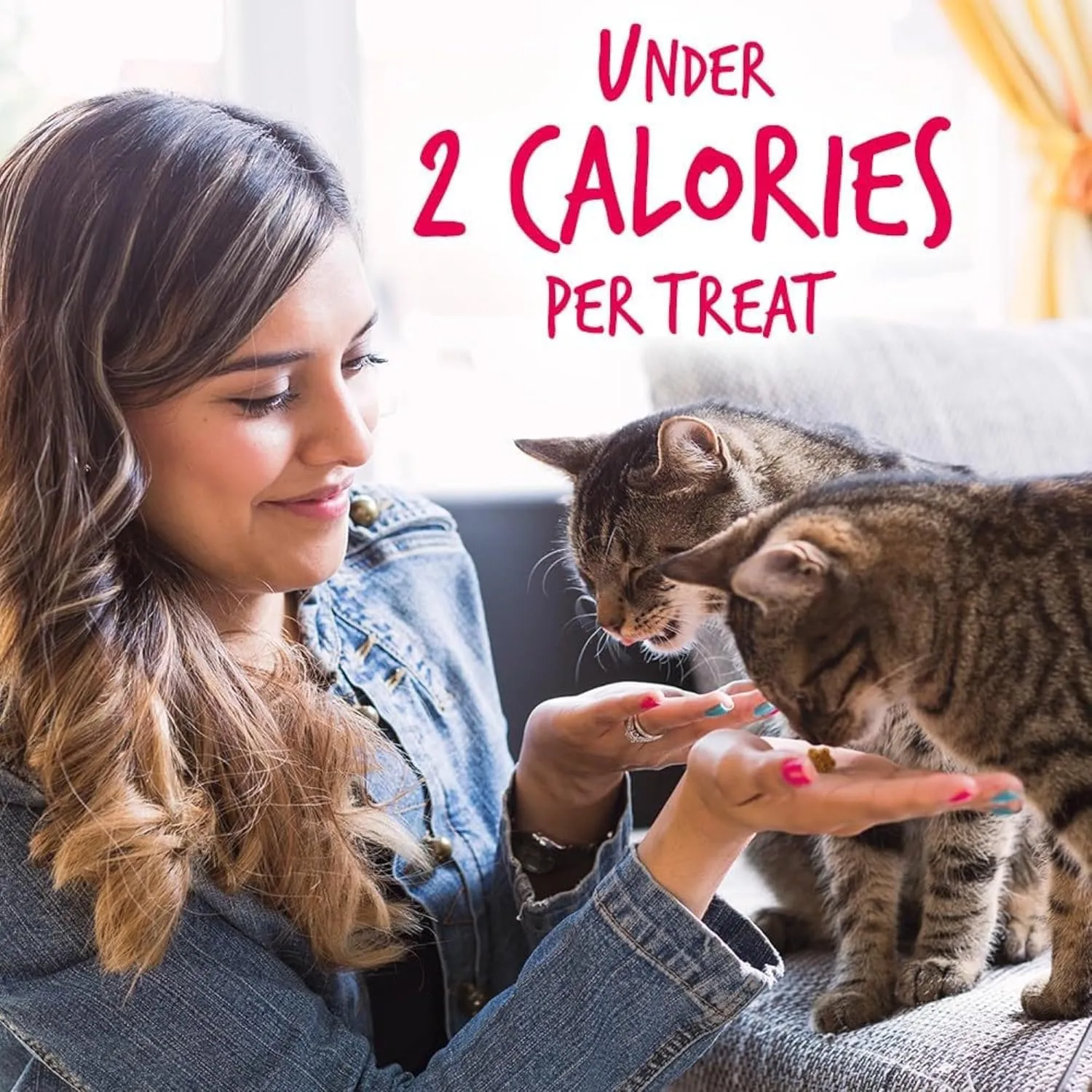 Fruitables Cat Treats, Healthy Treats For Cats, Low Calorie and Packed with Protein, Crunchy Biscuits, Free of Wheat, Corn and Soy, Made with Real Salmon and Cranberry, 2.5oz