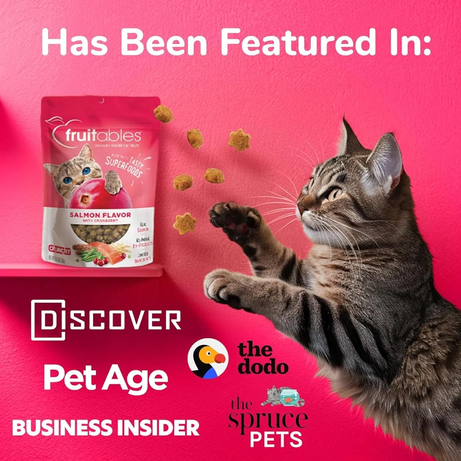 Fruitables Cat Treats, Healthy Treats For Cats, Low Calorie and Packed with Protein, Crunchy Biscuits, Free of Wheat, Corn and Soy, Made with Real Salmon and Cranberry, 2.5oz