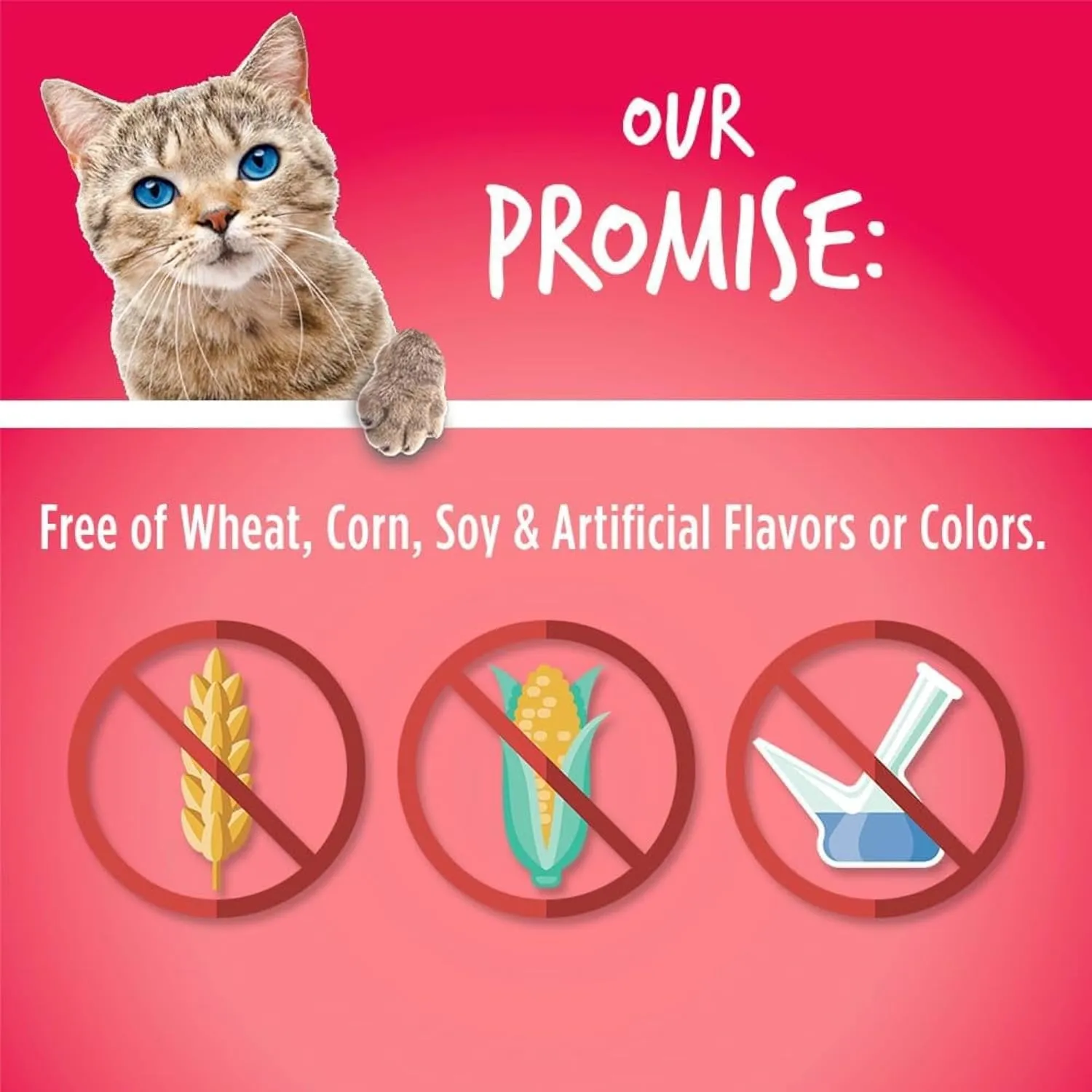 Fruitables Cat Treats, Healthy Treats For Cats, Low Calorie and Packed with Protein, Crunchy Biscuits, Free of Wheat, Corn and Soy, Made with Real Salmon and Cranberry, 2.5oz