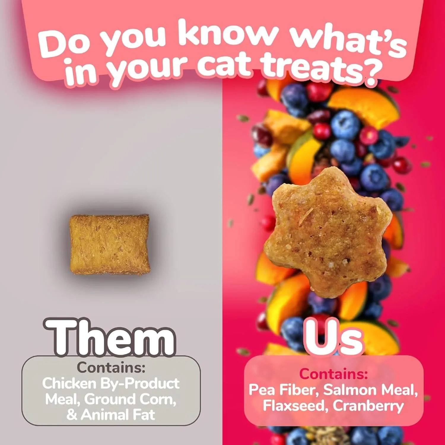 Fruitables Cat Treats, Healthy Treats For Cats, Low Calorie and Packed with Protein, Crunchy Biscuits, Free of Wheat, Corn and Soy, Made with Real Salmon and Cranberry, 2.5oz