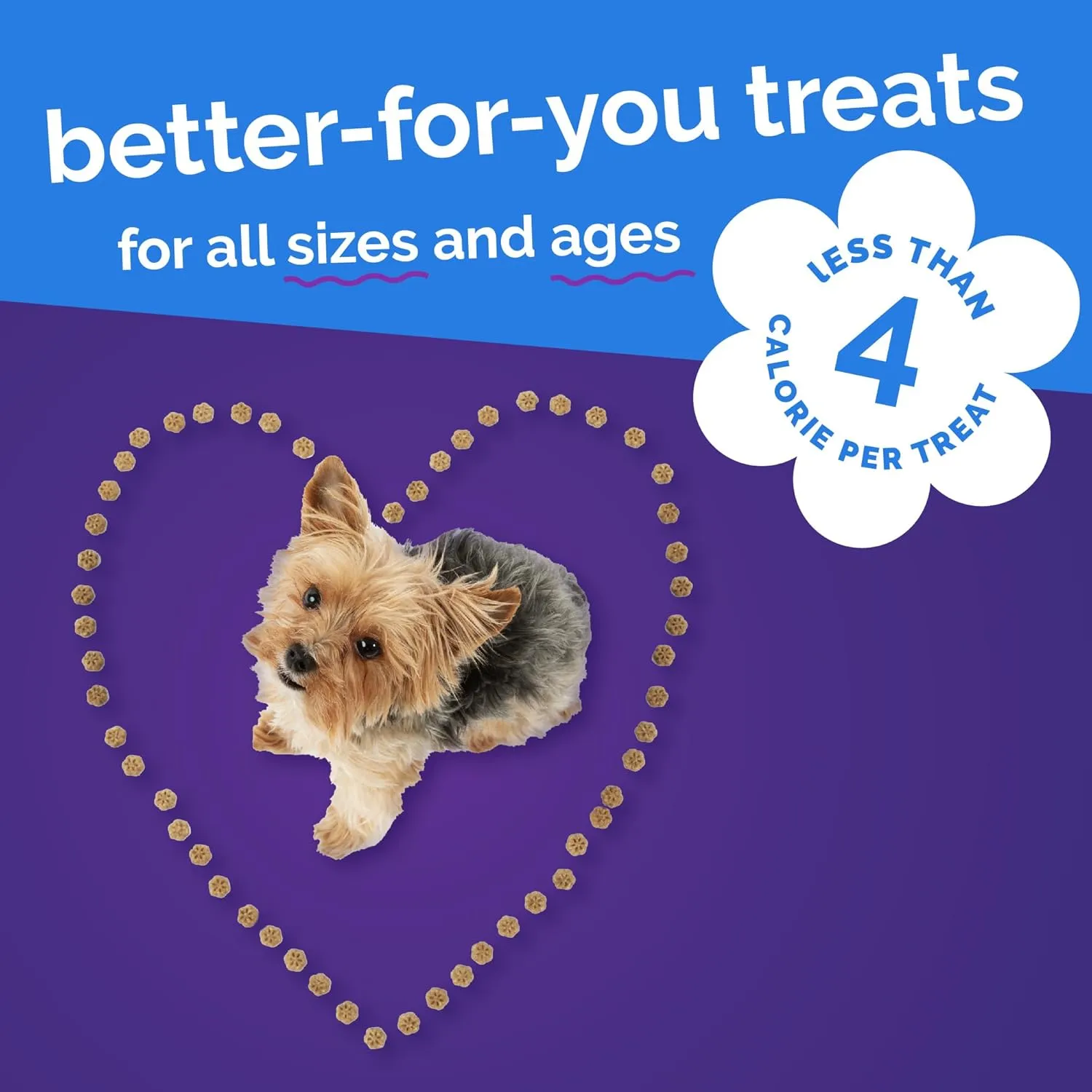 Fruitables Skinny Mini Dog Treats, Healthy Pumpkin Treat for Dogs, Low Calorie & Delicious, Puppy Training, Free of Wheat, Corn and Soy, Made in the USA, Pumpkin and Berry Flavor, 5oz
